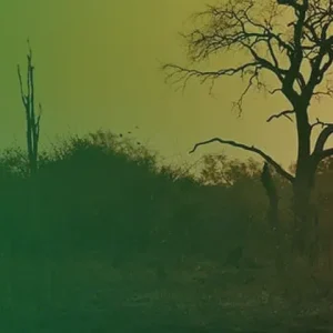 What’s about Zambia