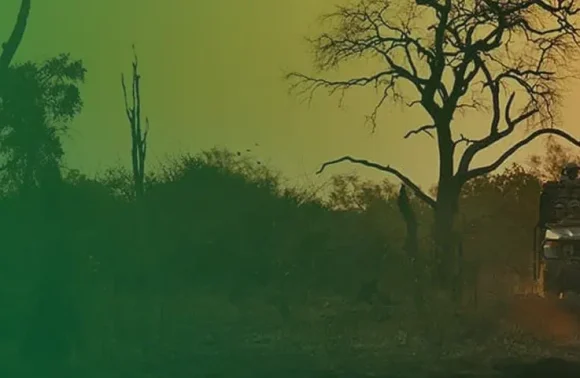 What’s about Zambia