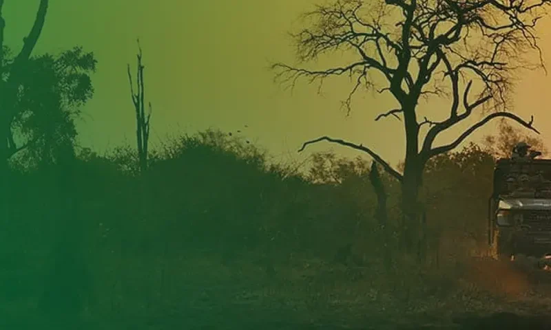 What’s about Zambia