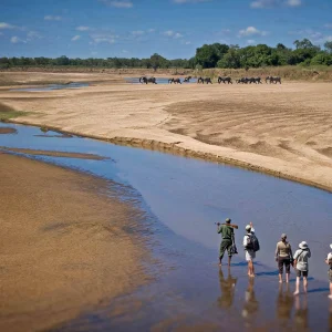 South Luangwa National Park