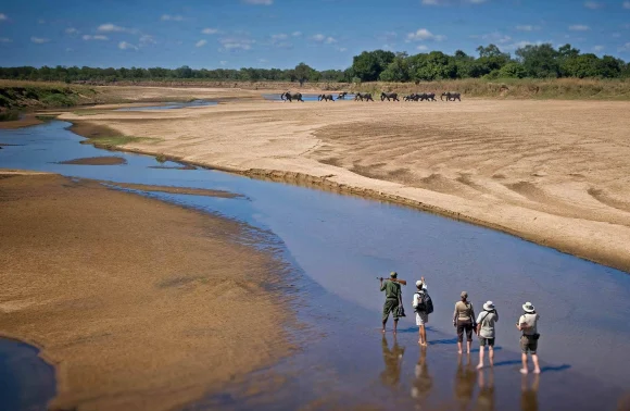 South Luangwa National Park South Luangwa National Park
